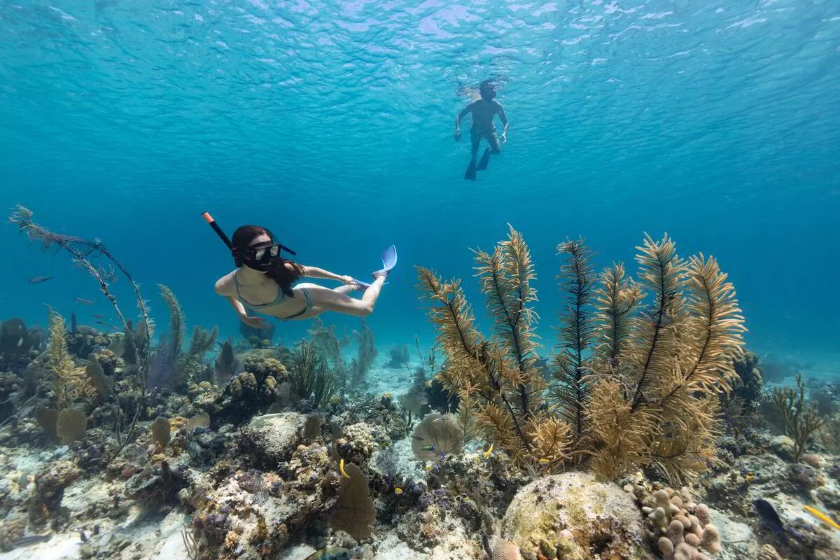 Snorkeling In Padang Bay - Bali Driver