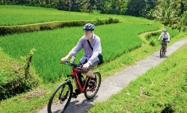 Ubud eBike Tours