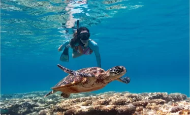 Snorkelling Tour at Blue Lagoon Padang Bai Bali